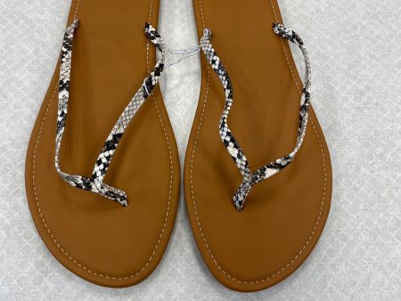 Sandals Flip Flops By Clothes Mentor  Size: 11 For Sale