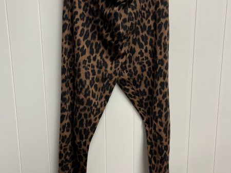 Leggings By Style And Company  Size: Xl Sale