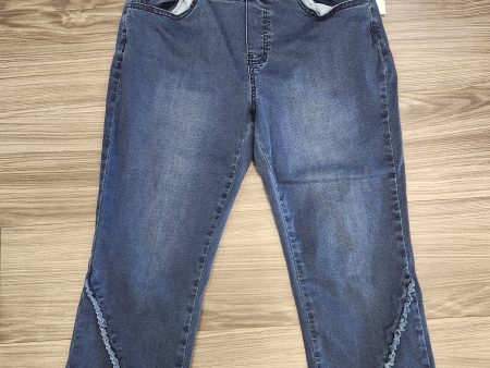 Blue Capris Ethyl, Size 8 Online Hot Sale